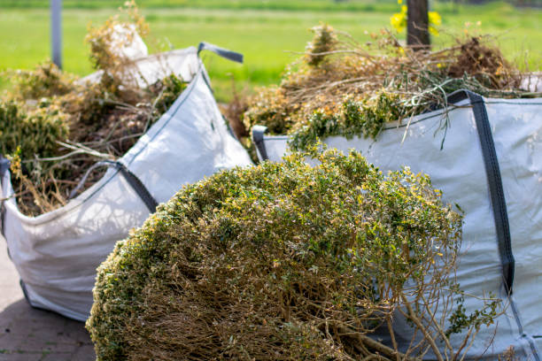 Best Trash Removal Near Me  in Shiloh, PA