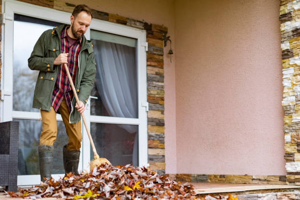 Best Basement Cleanout Services  in Shiloh, PA
